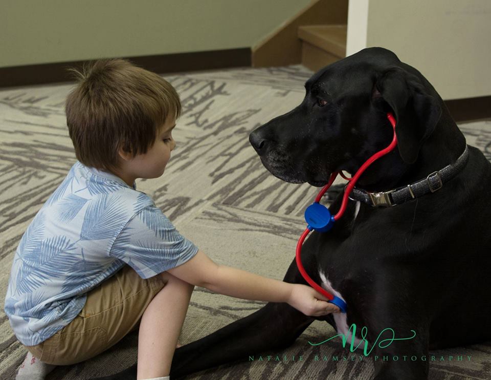 Child petting a therapy dog during a visit